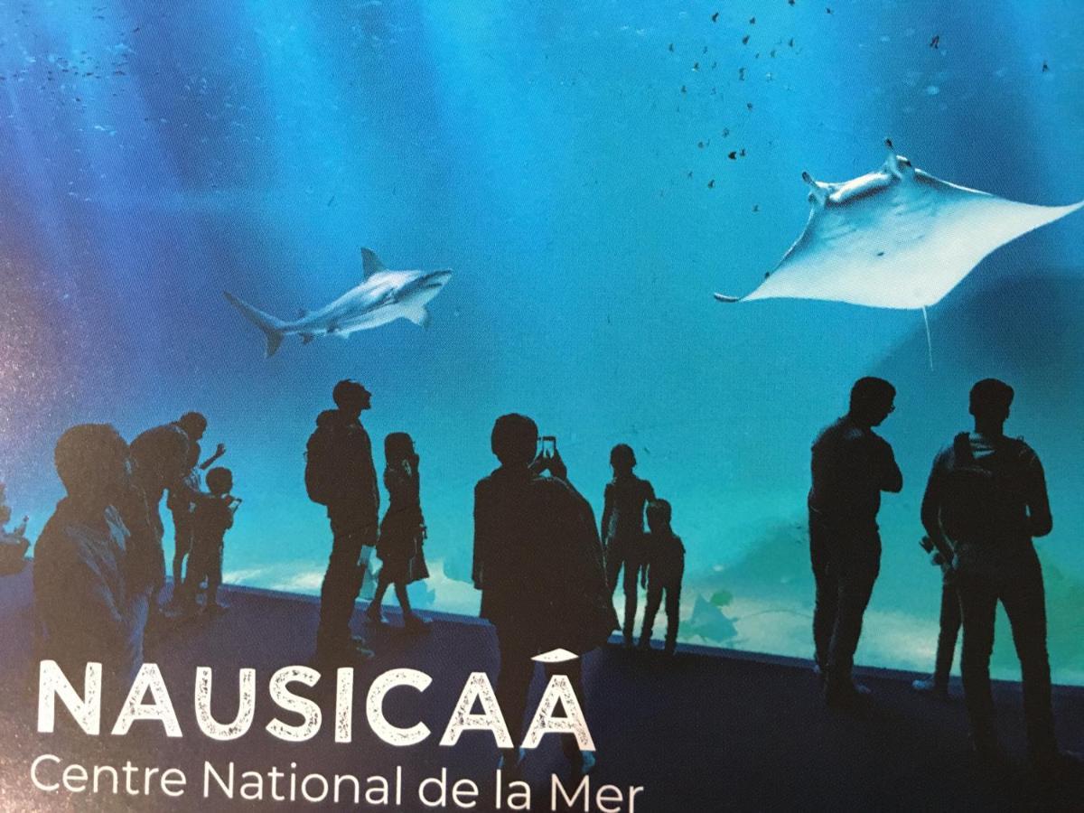 Studio " Escale En Bord De Mer " Wimereux Εξωτερικό φωτογραφία